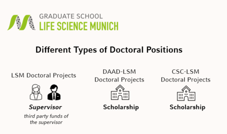 different types of doctoral positions